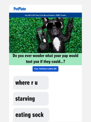 PetPlate - Your Dog is typing...