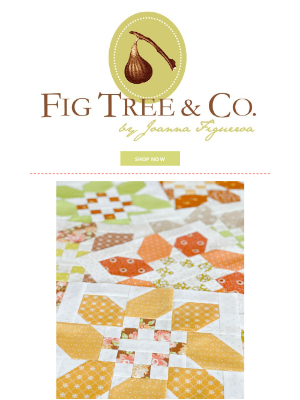 Fig Tree & Co. - A LOT OF NEW THINGS TO SHARE TODAY...