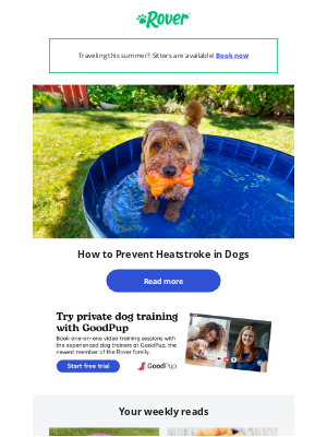 Rover.com - How to protect your dog from heat stroke