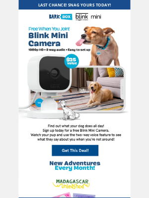 BarkShop - 🚨Almost Sold Out! Keep An Eye On Your Pup With A Free Blink Camera