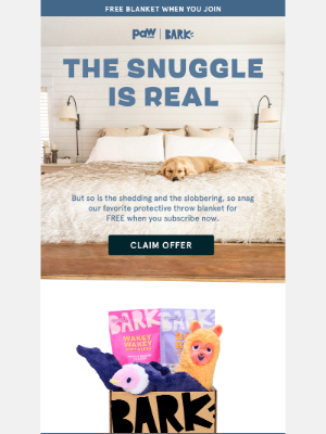 BarkBox - 📺💖 Chill & Snuggle: The ultimate throw for binge sessions with your pup has arrived!