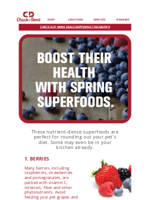 Kriser’s Natural Pet - 5 Spring Superfoods your pet will love