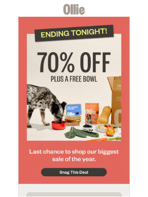 Ollie - Helen, last chance for 70% off + a FREE Bowl!