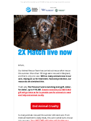 Humane Society of the United States - 2X Match: Rescued dogs need your help