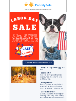 EntirelyPets - 🚨Final call: 20% OFF ends TONIGHT