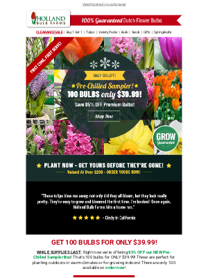 Holland Bulb Farms - Pre-Chilled Sampler ❄️ 100 Bulbs For 85% OFF!