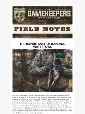 Mossy Oak - The Importance of Banding Waterfowl