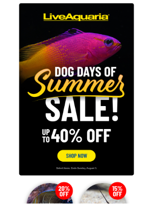 LiveAquaria - 🐶 Sniff out savings with Dog Days of Summer