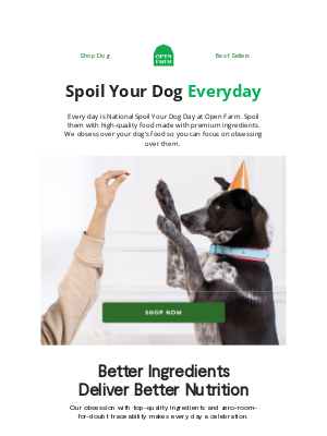 Only the best for your best friend 🐶
