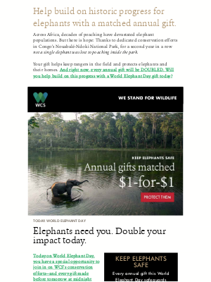 Wildlife Conservation Society - Annual gifts DOUBLED to protect elephants from poaching