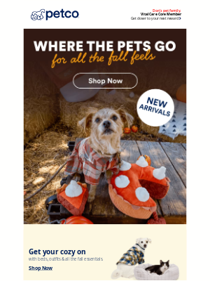 Petco - 🍂 NEW fall faves from $5 🍂