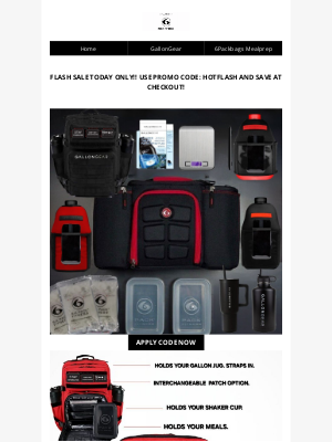 6 Pack Bags - SUNDAY FLASH SALE! TODAY ONLY!