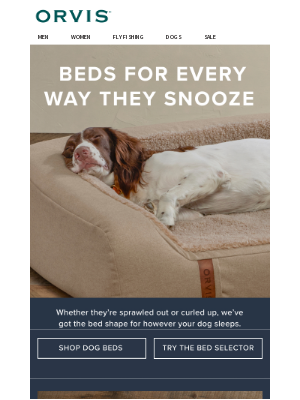 Orvis - Dog tired? We’ve got the perfect spot. 🐾