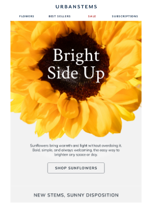 UrbanStems - Bold by nature