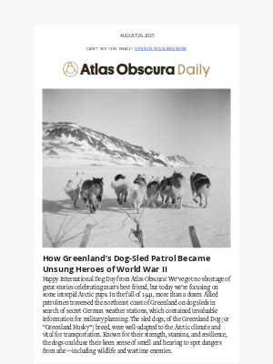 Atlas Obscura - How Arctic Sled Dogs Supported the Allied War Effort
