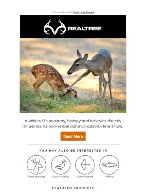 Realtree - 20 Things to Know About Deer Body Language and Behavior 🦌