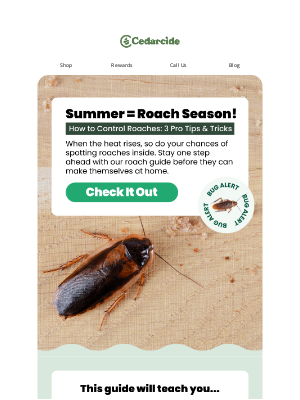 Cedarcide - It’s Roach Season 🛑 Here’s How to Stay Ahead.