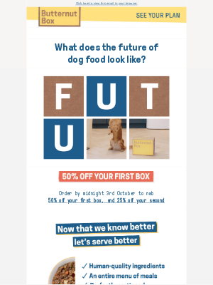 butternutbox - gail, have you ever seen a dog use a hoverboard?