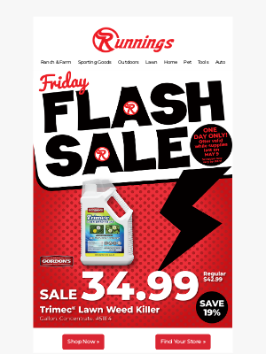 Related Email 1