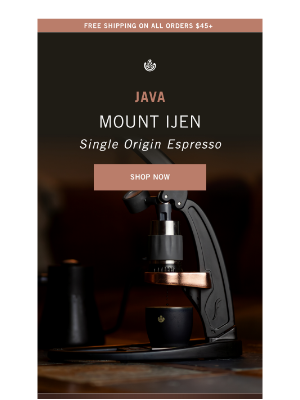 Temple Coffee Roasters - Java Espresso Is Back! ✨