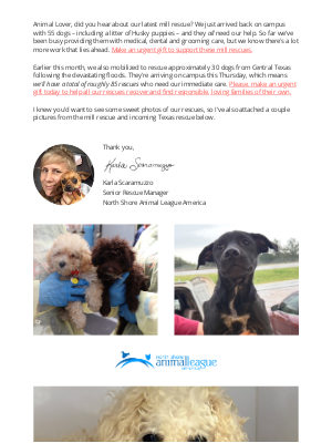 Animal League - Update: Mill rescues are here, with Texas dogs incoming