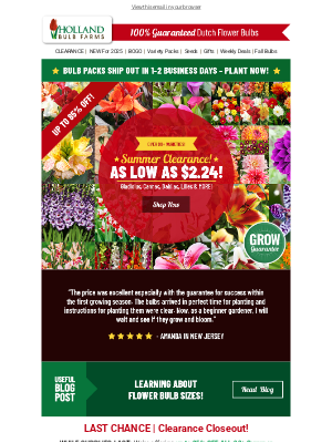 Holland Bulb Farms - CLEARANCE CLOSEOUT 📣 90+ Packs as LOW as $2.24!