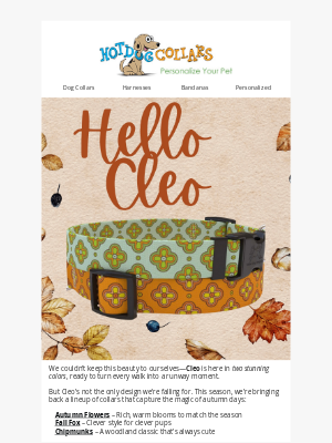 Hot Dog Collars - Say Hello to Cleo (and Other Fall Favorites)