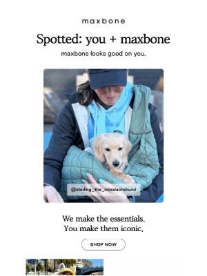 maxbone - Spotted: you + maxbone