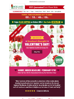 Holland Bulb Farms - ❤️ 40-55% OFF Valentine's Day Amaryllis SALE! ❤️