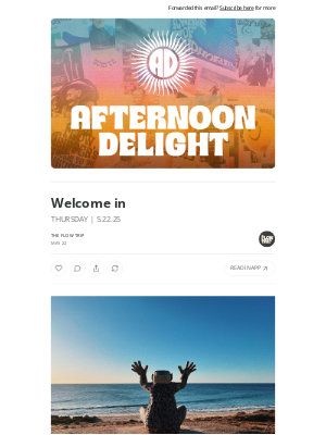 Whalebone - Welcome in ☀️