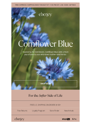 Eberjey - JUST DROPPED: Cornflower Blue PJs