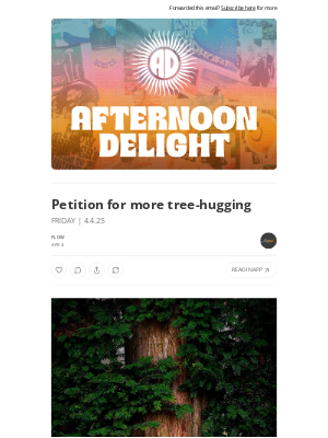 Whalebone - Petition for more tree-hugging ☀️