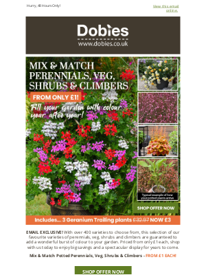 Dobies (United Kingdom) - From only £1! Potted Perennials, Shrubs & Climbers!