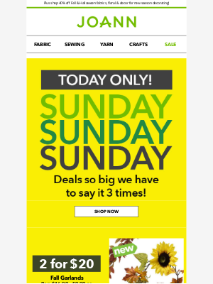 Joann Stores - 😮 ONE day to save with 25% off your pick-up order + $2.99 shipping!