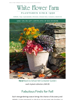 White Flower Farm - Sneak Peek! See What’s New for Fall