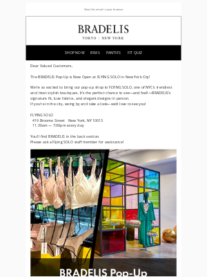Bradelis New York - The BRADELIS Pop-Up is Now Open at FLYING SOLO in New York!