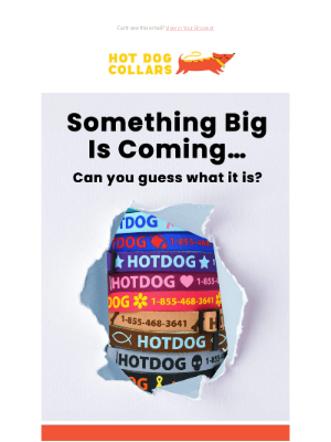 Hot Dog Collars - We have something special planned…