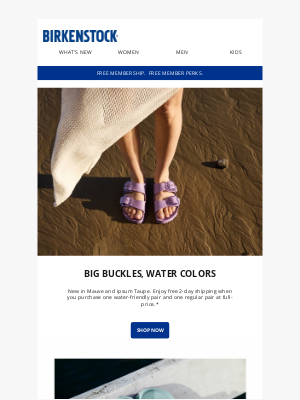 Birkenstock - Big Buckle Essentials, New Colors