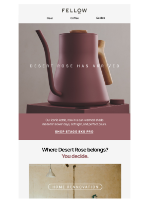 Fellow - The Desert Rose kettle is here 🌹
