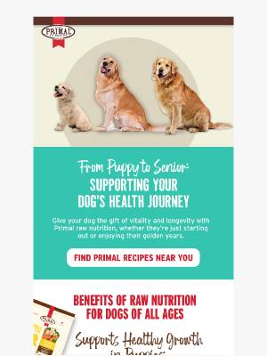 Primal Pet Foods - How to Keep Your Dog in Their Prime at Every Age 🐶