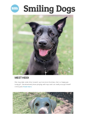 BarkGoods - Smiling Dogs: Meet Heidi and Marley