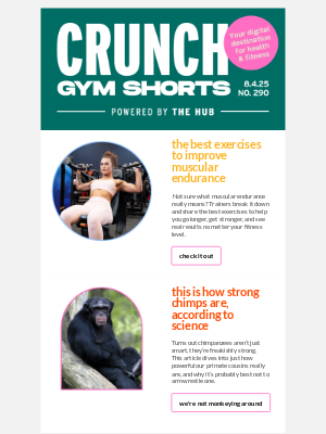 Crunch Fitness - Discover Top Exercises for Muscular Endurance 💪