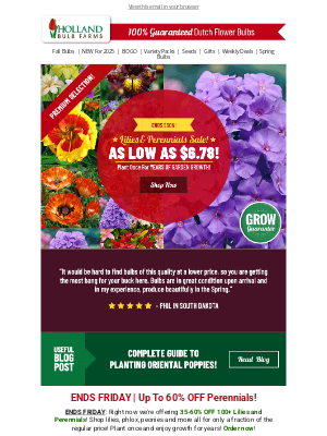Holland Bulb Farms - TICK-TOCK ⏰ Perennials as LOW as $6.78!