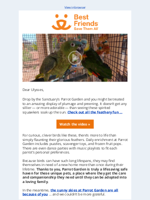 Best Friends Animal Society - Video: The cutest parrots under the sun
