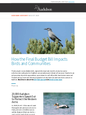 National Audubon Society - 20,000 Audubon Supporters Speak Out to Protect the Western Arctic