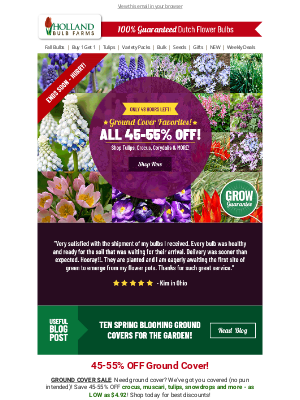 Holland Bulb Farms - 48 HOURS ⏰ Ground Cover as LOW as $5!