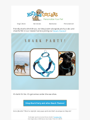 Hot Dog Collars - Shark Party!  Dive In!  🦈
