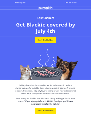 Pumpkin Petcare - Last day to get Blackie covered by July 4th!