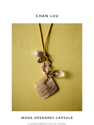 chanluu.com - Moda Operandi Capsule