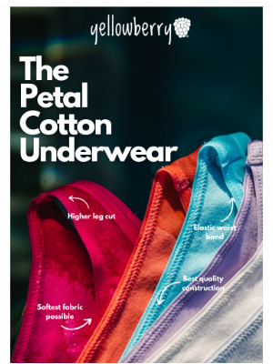 Yellowberry - The $15.95 Cotton Underwear